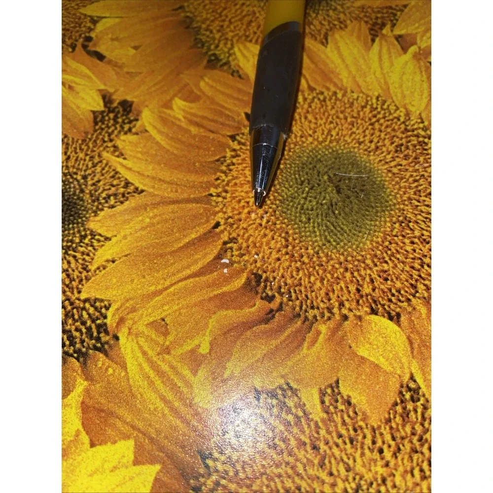 Sunflower Placemats Set of 4‎ Vinyl Summer Fall